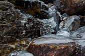 Salita dalla Valle del Tino a MONTI TORNELLO E TORNONE il 10 dicembre 2011 - FOTOGALLERY